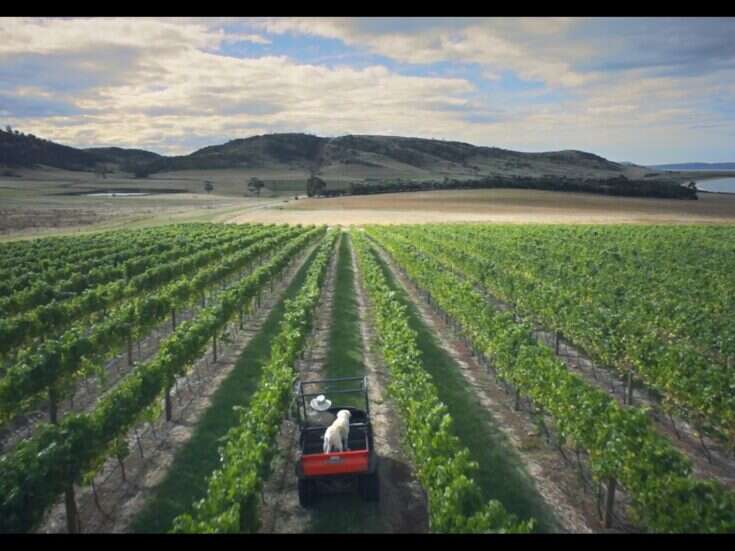 House of Arras: Australia’s most awarded sparkling wine