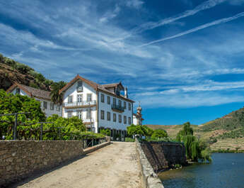 Into the midnight black: A tasting of single-quinta Vintage Ports