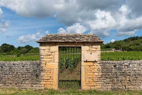 A metal gate in a stone wall at the entrance of a vineyard in Puligny-Montrachet