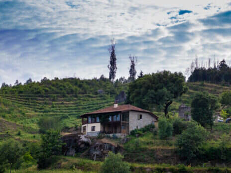 Dão: A curious sense of place