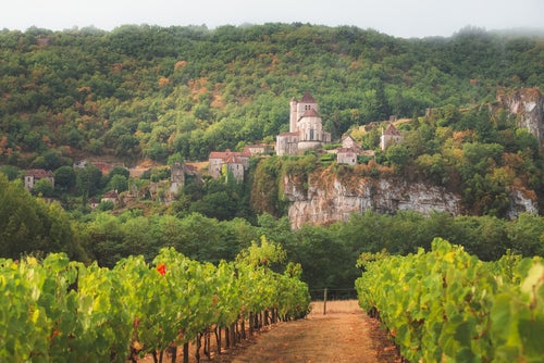 Shocking depth and vivacity from historic Malbec