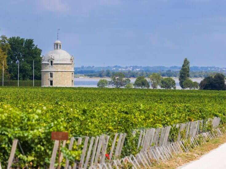 Château Latour, Bordeaux, and vineyards