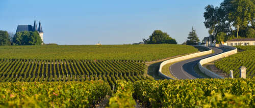 Bordeaux 2024 vineyard establishing shot.