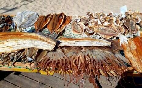 At the table: <em>Polvo à lagareiro</em>