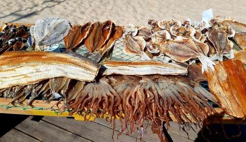 polvo a lagareiro - octopus being dried in the sun