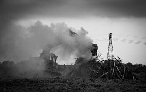 French wine crisis – uprooting a vineyard.