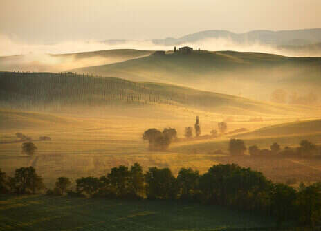 2020 Brunello di Montalcino: Mixed results