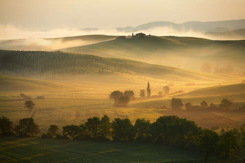 2020 Brunello di Montalcino: Mixed results