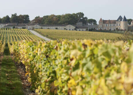 Family tragedy, revolution, and botrytis