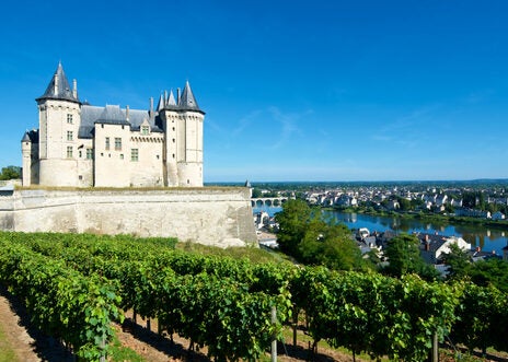 A compact, authoritative, enticing introduction to the wines of the Loire