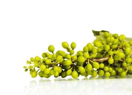 At the table: Verjuice and lamb shanks