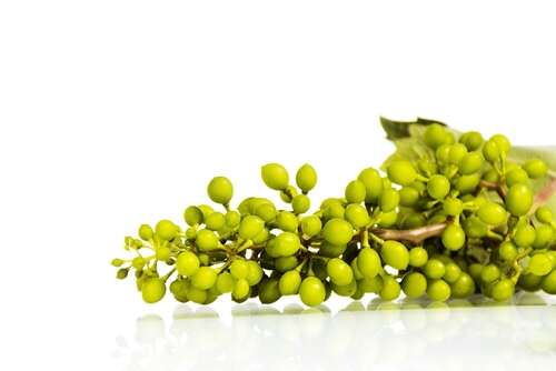 At the table: Verjuice and lamb shanks