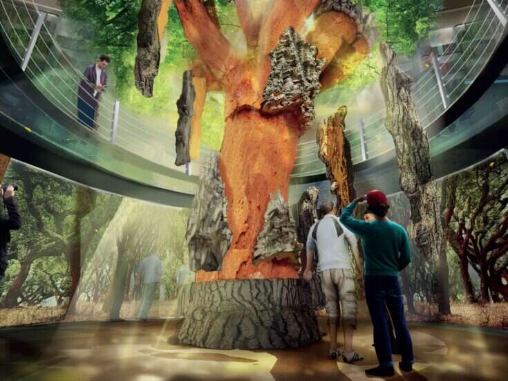 The World of Wine: Open to wow