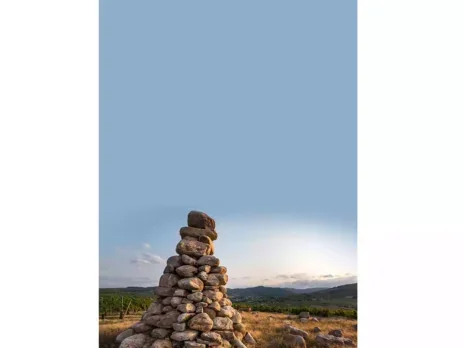 Beaujolais: Will Gamay stay or go? 