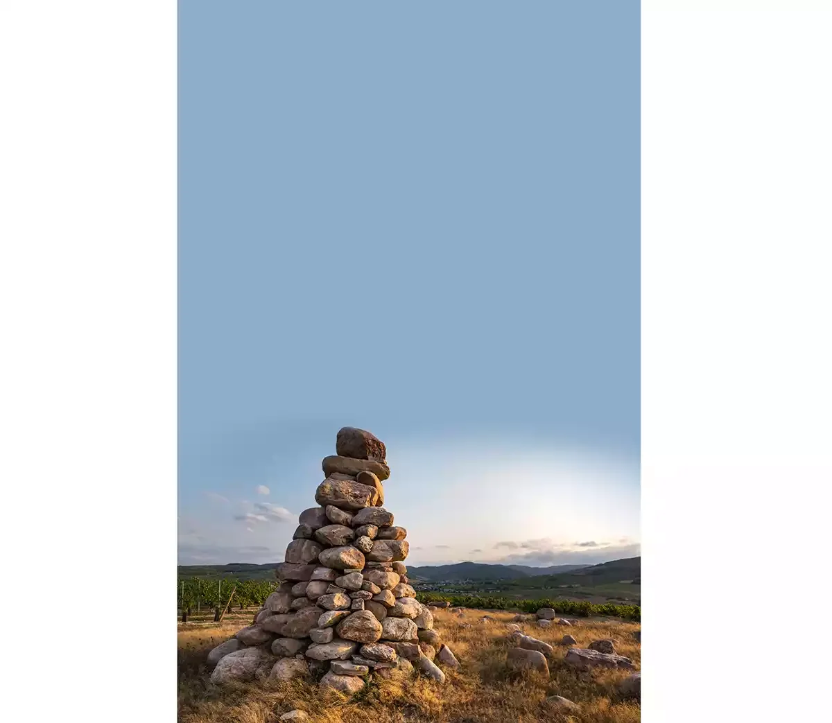 Beaujolais: Will Gamay stay or go? 