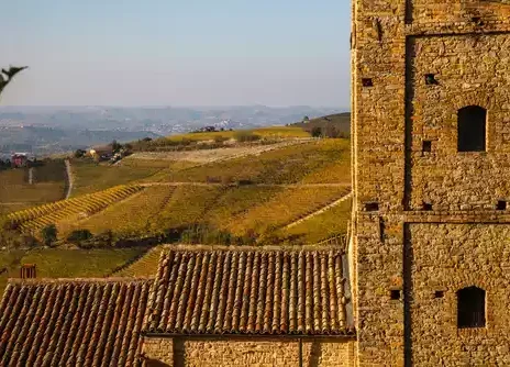 2020 Barolo: More than comfortable?