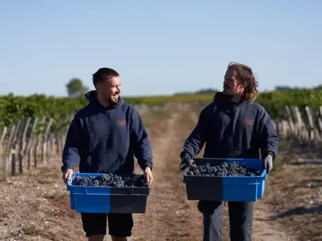 Bordeaux 2022 en primeur: The pursuit of happiness