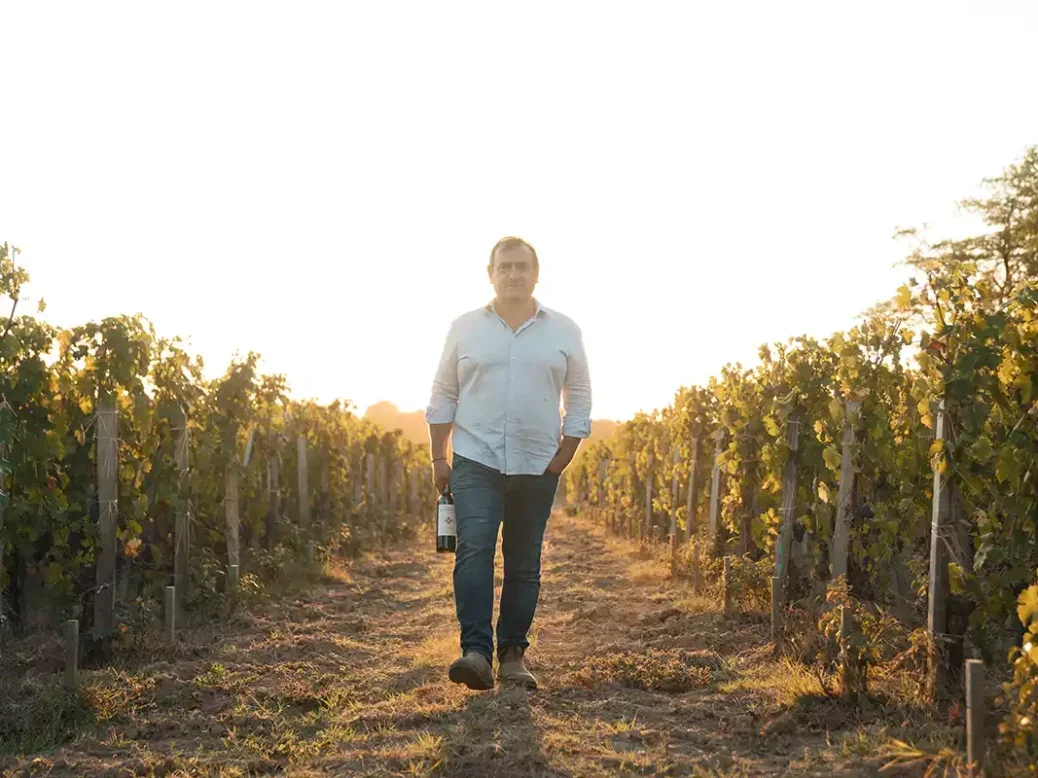 Pascal Chatonnet wearing a white shirt walking between the vines on a dusty path at Château Haut-Chaigneau near harvest.