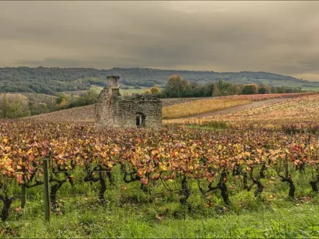 Essential reading for anyone with a deep interest in Burgundy