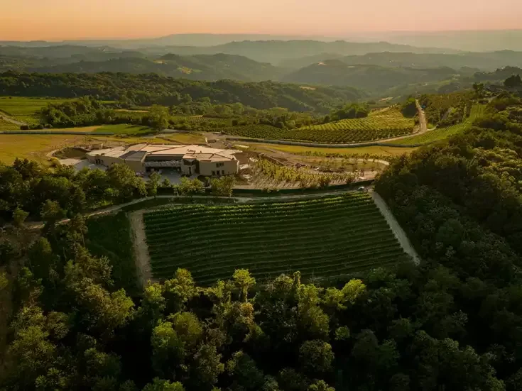 New Gaja white wines: Vibrant, vivid aromas and flavors