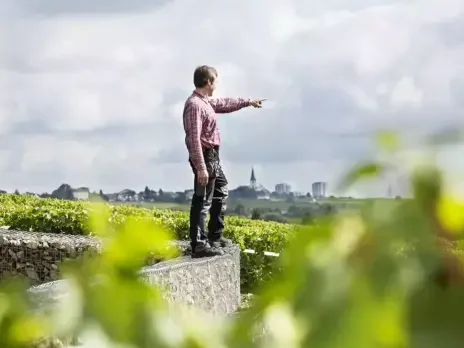 The wines of Gunter Künstler and the value of interesting friends