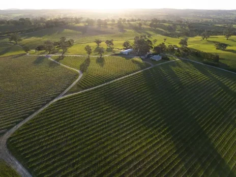 Henschke 2021 single-vineyard releases: A place among the greatest