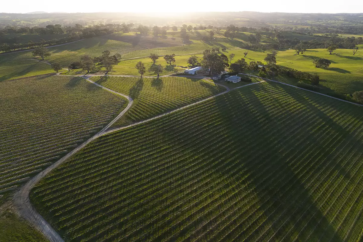 Henschke 2021 single-vineyard releases: A place among the greatest