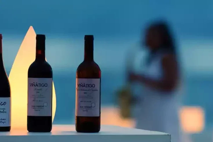 The Ozen Collection: From Atlantic trade winds to an Indian Ocean wine odyssey