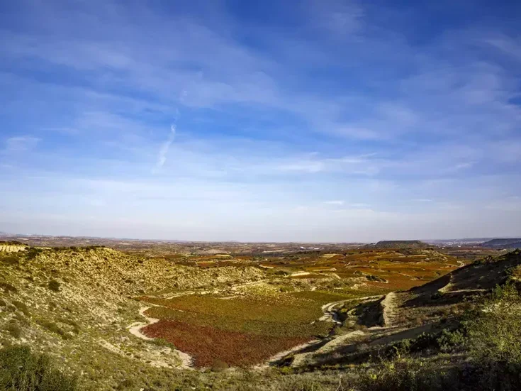 A view of vineyards in autumn with red and golden leaves in a natural amphitheater with limestone soils and blue sky.