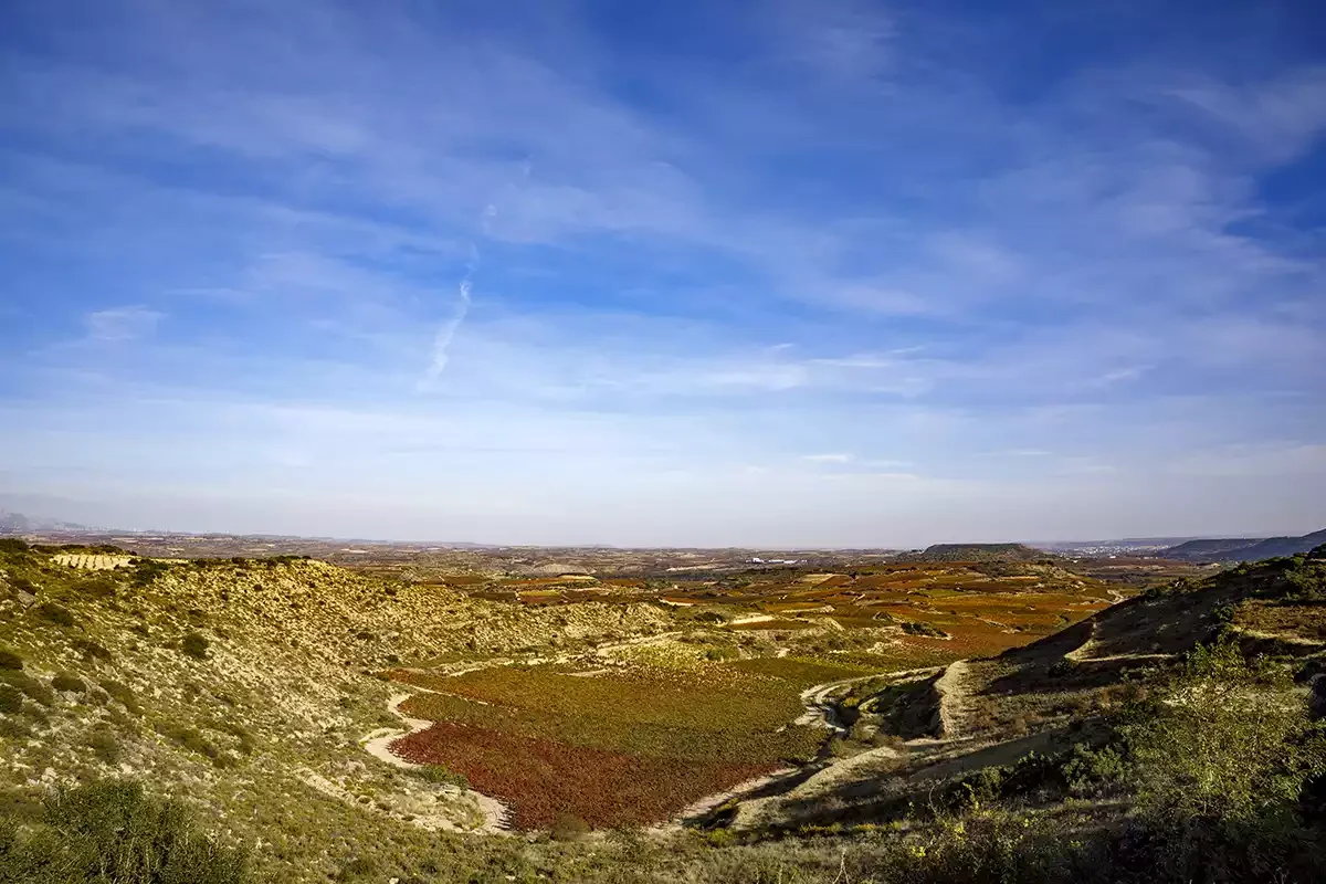 Rioja at 100 and a crossroads