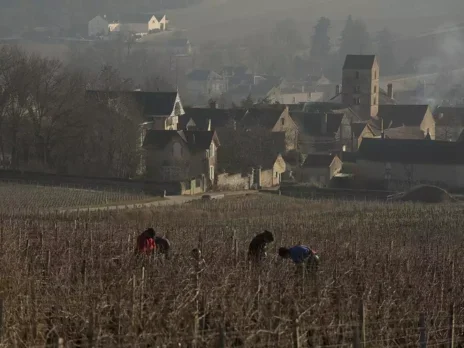 A century of Mercurey: The noble trade of immediate appeal