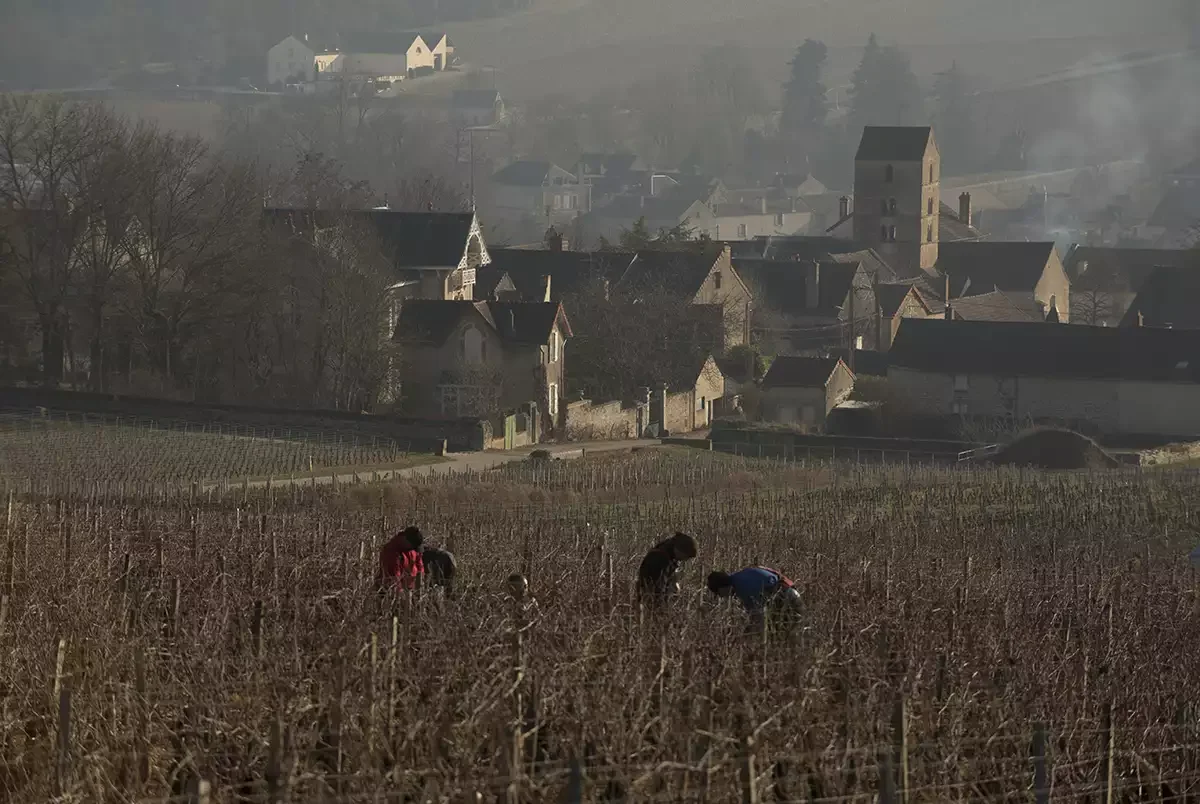 A century of Mercurey: The noble trade of immediate appeal