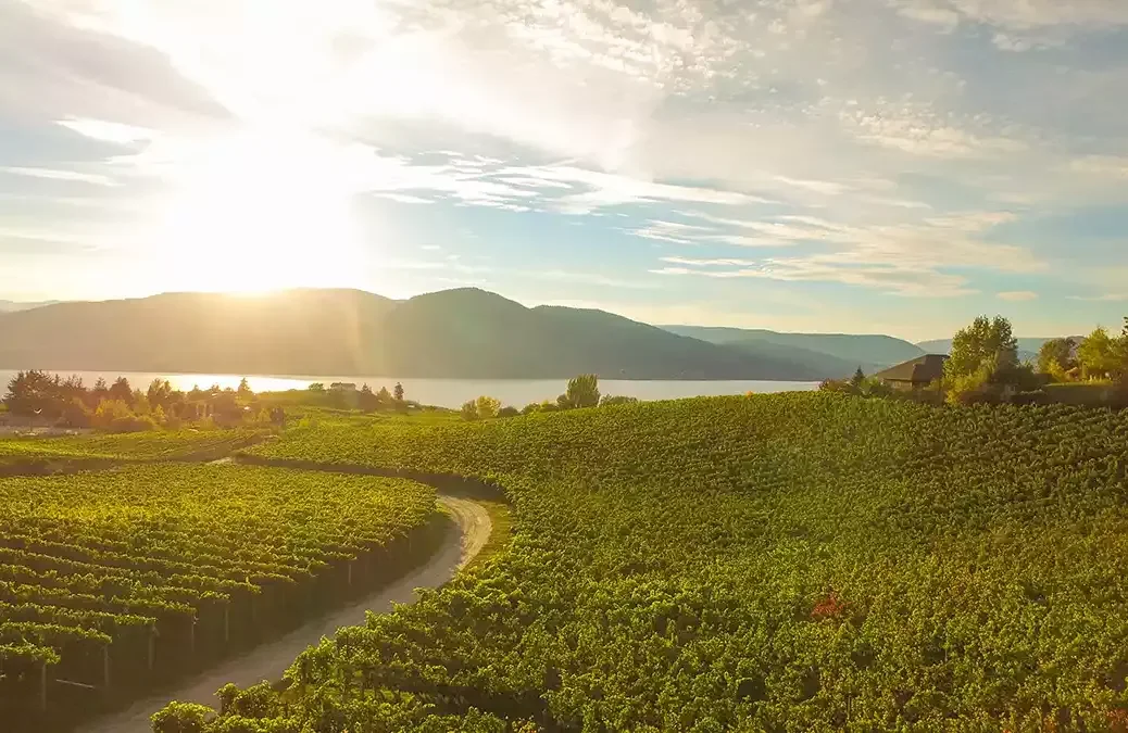 Naramata Bench landscape