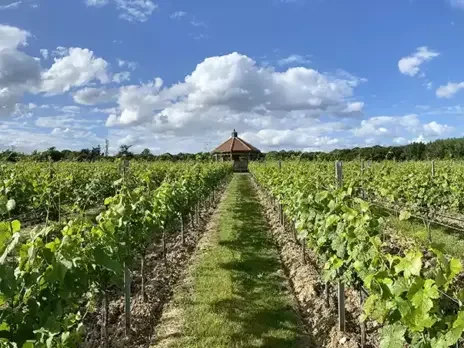 Danbury Ridge: Crouch Valley rises