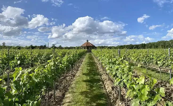 Danbury Ridge: Crouch Valley rises