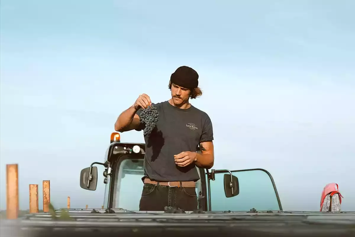 2023 Bordeaux: Reflections on an en primeur twilight