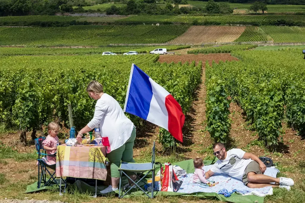 In the middle of a vineyard, a mother in white shirt and green trousers sets up the picnic table where her little daughter in a pink dress is sitting; beside them on the floor the father in sunglasses, khaki shorts and white trainers lies on a blue picnic blanket next to his baby daughter in a pink top