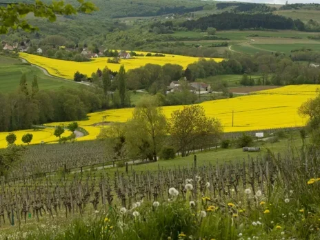 Bourgogne Hautes-Côtes: Going up in the world