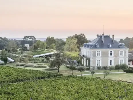 Bordeaux 2024: Pessac-Léognan and dry white recommended wines