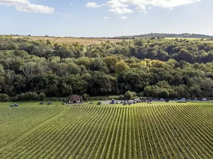 Wiston Estate: Banana Belt republic